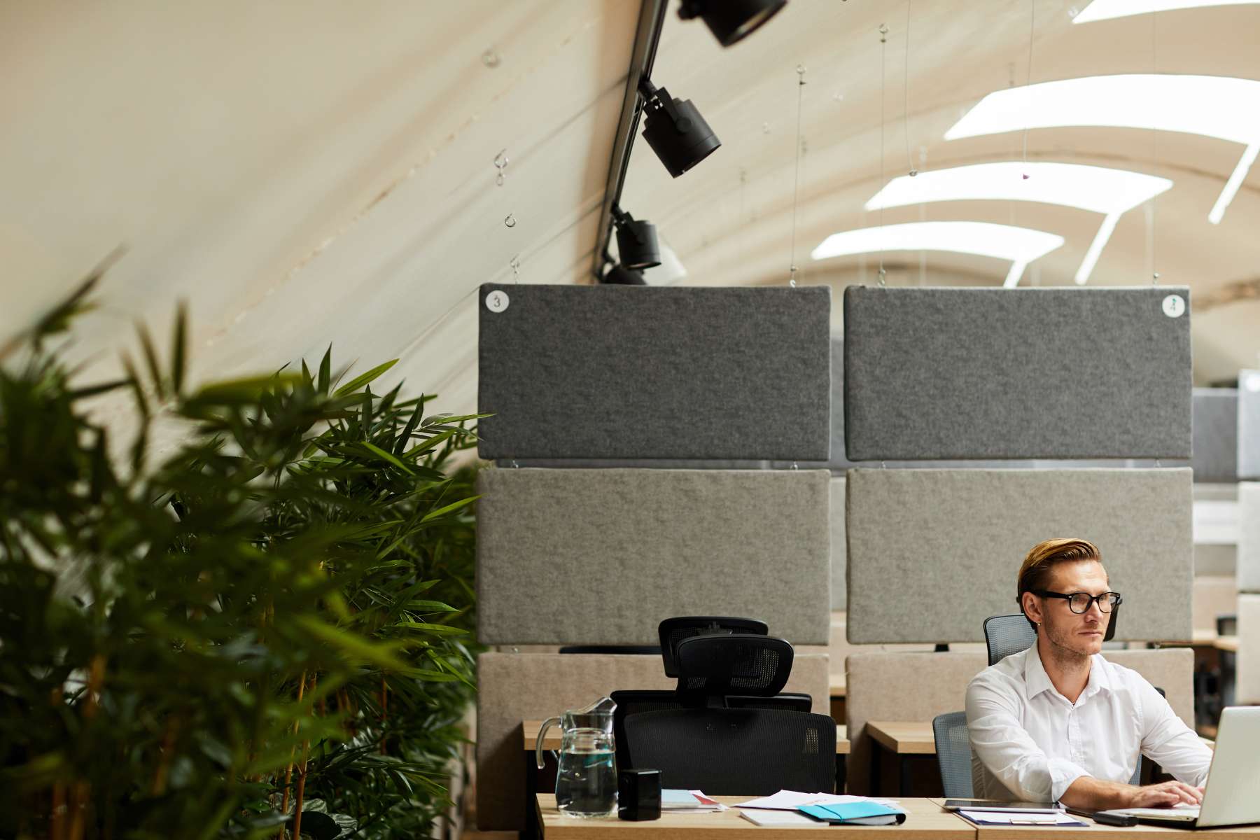 Ein männlicher Büroangestellter sitzt an einem Schreibtisch und arbeitet am Laptop, während hinter ihm ein großes Akustikelement angebracht ist und neben ihm jede Menge große Pflanzen stehen.